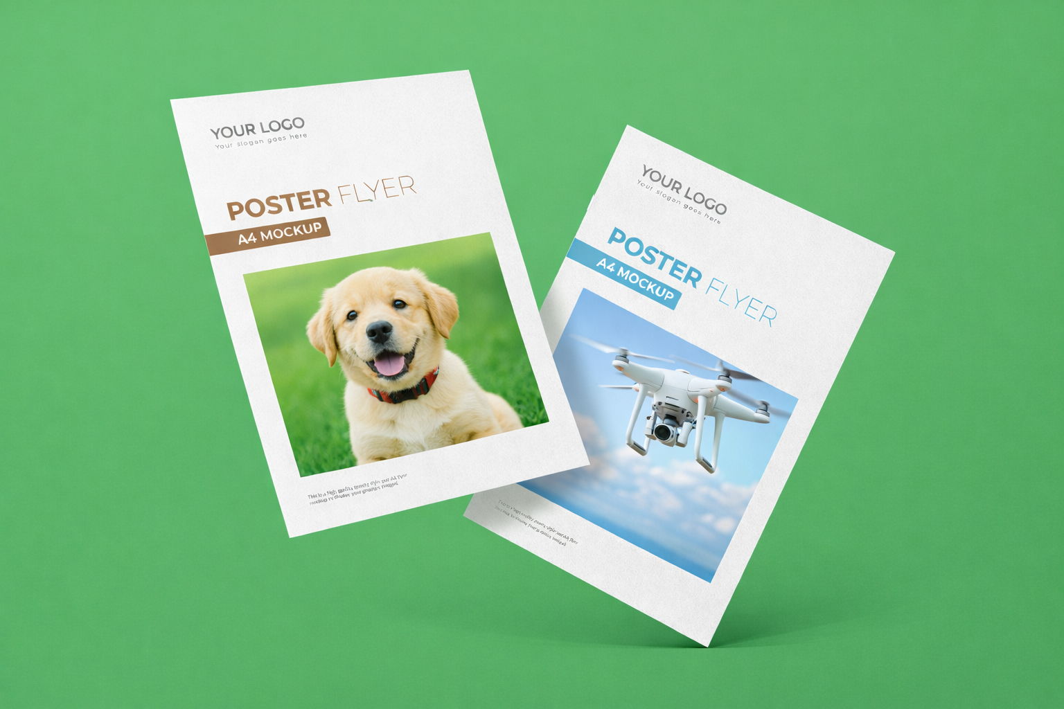 Creation flyer Suisse